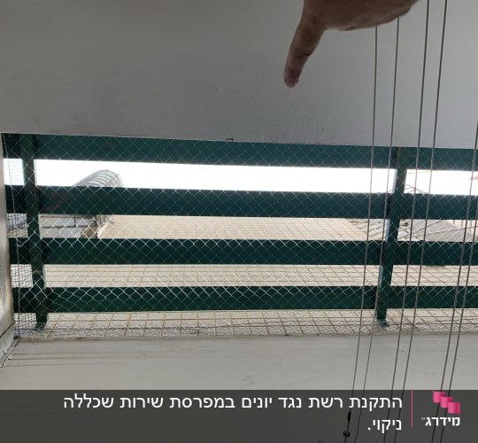 רשת ירוקה למניעת כניסת יונים בחלון